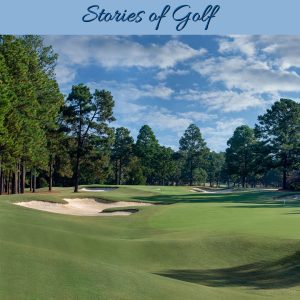 ENTER NOW: STORIES OF GOLF